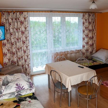 Kwatery Prywatne U Gosi Nad Solina Solina  Exteriér fotografie